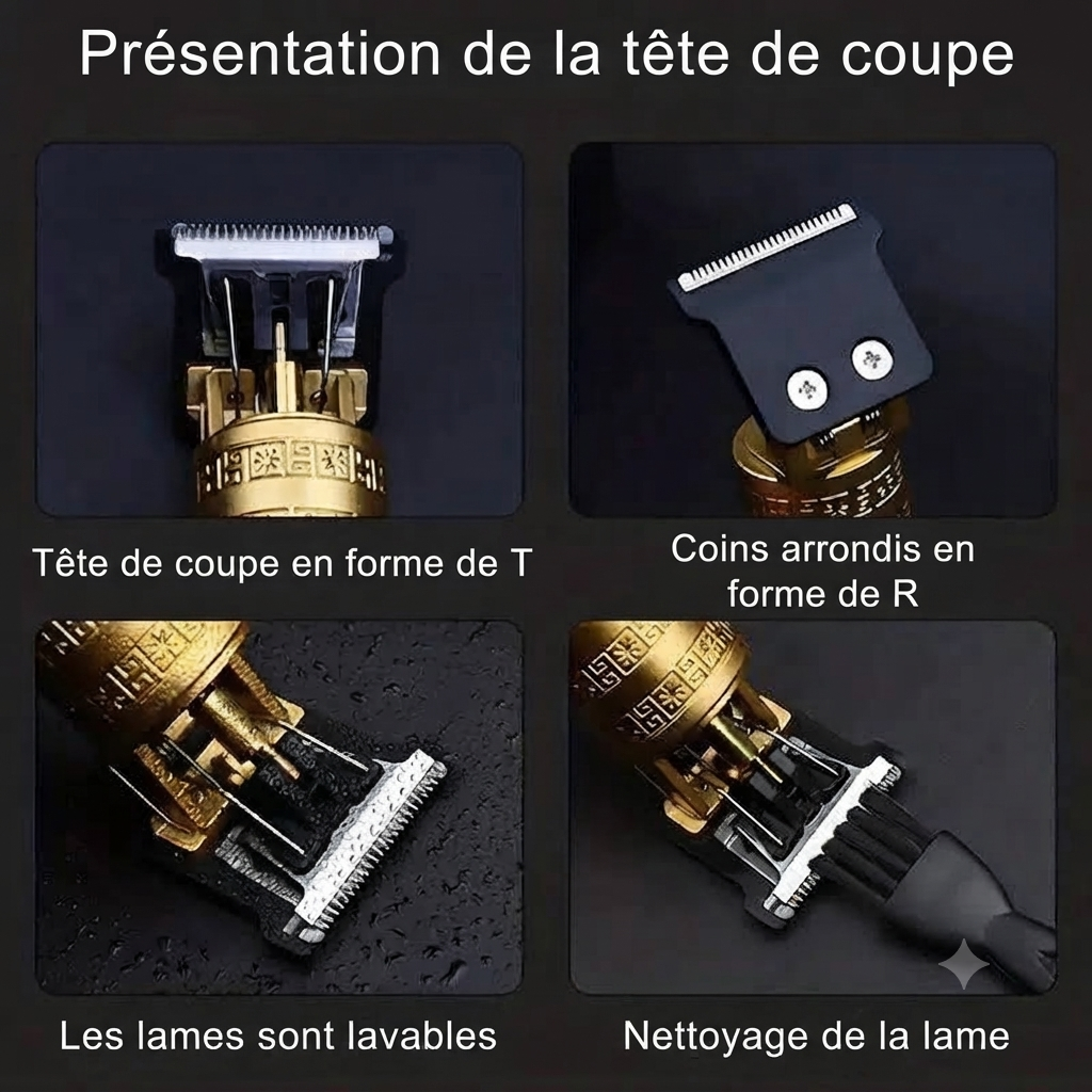 Tondeuse Professionnelle «Style Dragon »